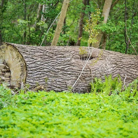 Jernbanegade מלון
