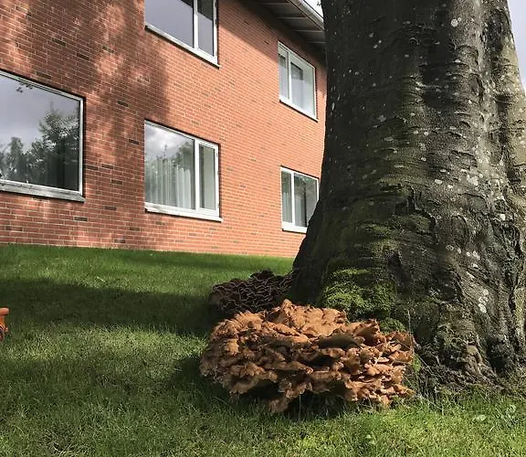 Jernbanegade Kibæk